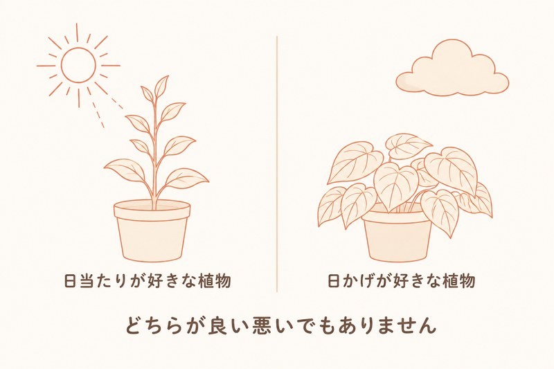 日当たりが好きな植物と日かげが好きな植物のイラスト。土地との相性はどちらが良い悪いでもないことを示す図